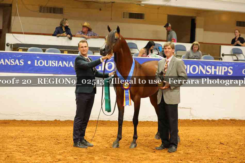 Proof 20_REGION9_02513