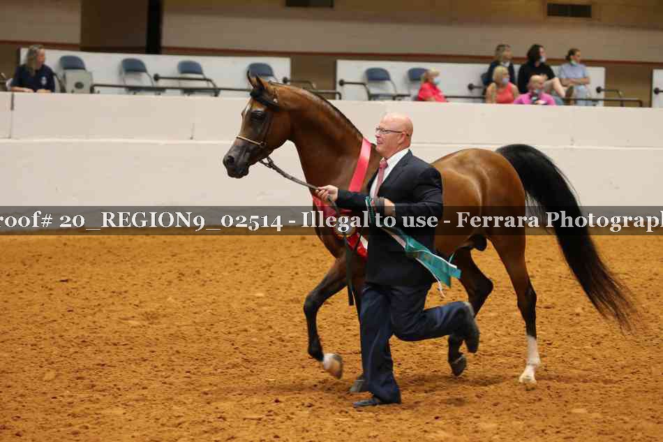 Proof 20_REGION9_02514