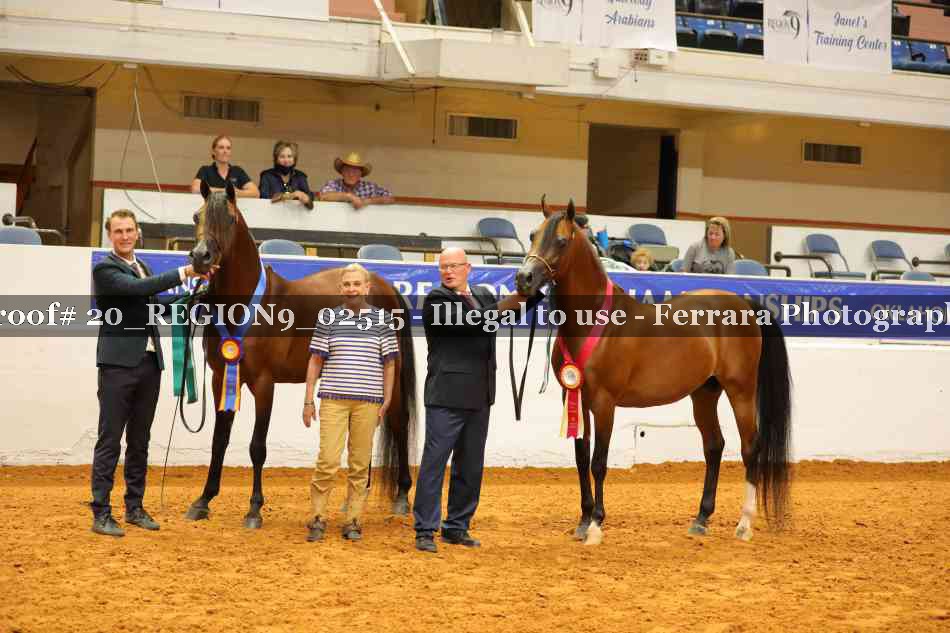 Proof 20_REGION9_02515
