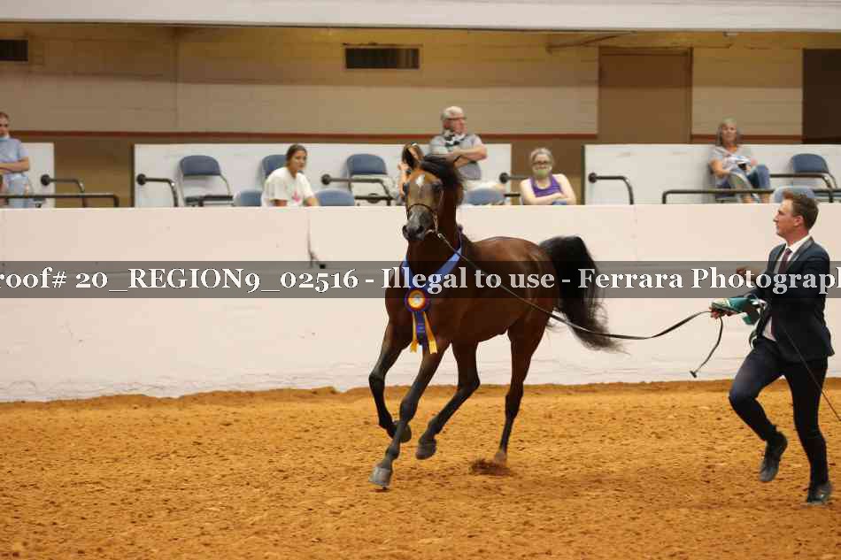 Proof 20_REGION9_02516