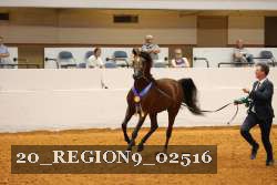 20_REGION9_02516 proof