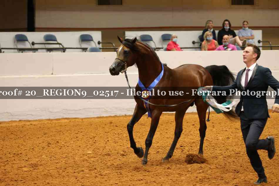 Proof 20_REGION9_02517