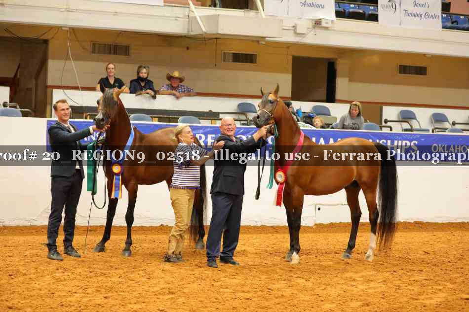 Proof 20_REGION9_02518