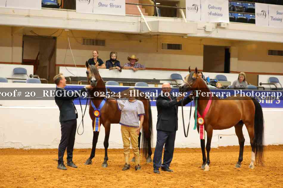 Proof 20_REGION9_02524