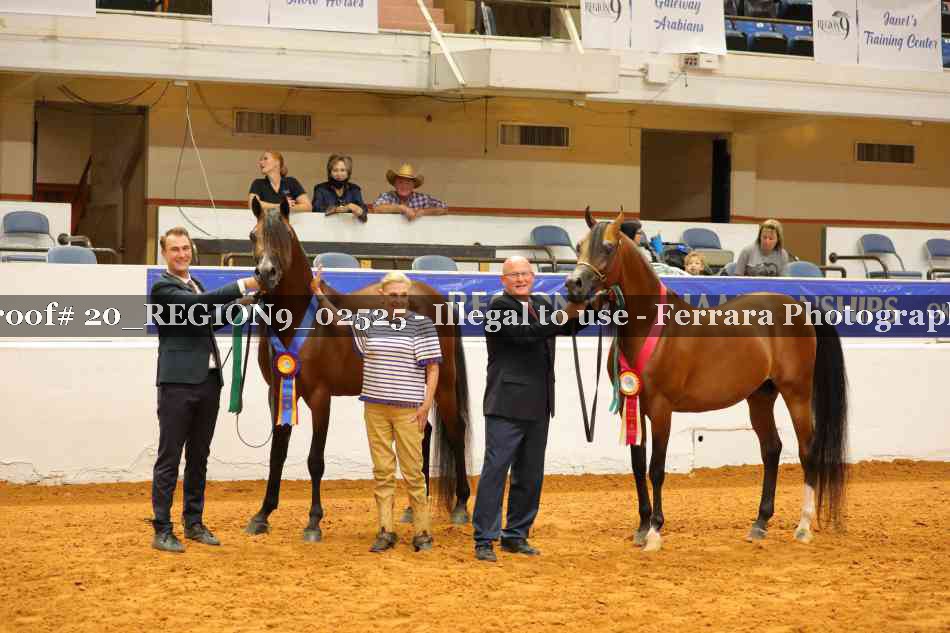Proof 20_REGION9_02525