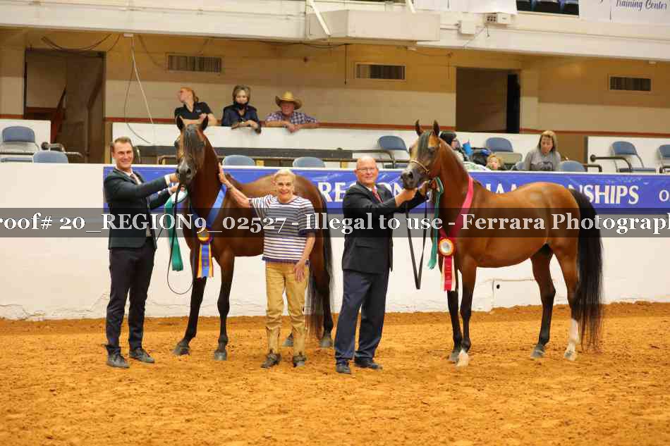Proof 20_REGION9_02527