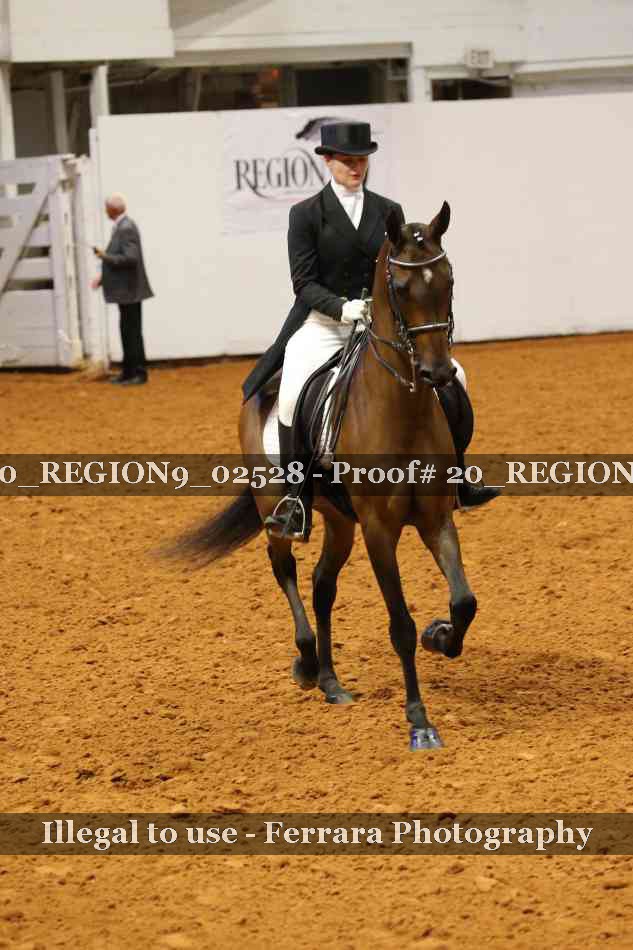 Proof 20_REGION9_02528