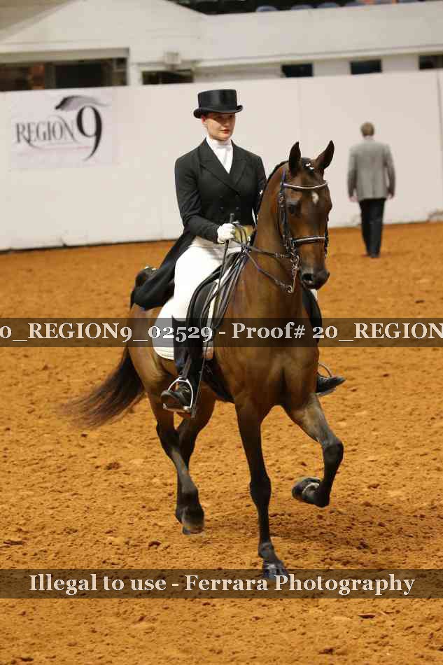 Proof 20_REGION9_02529