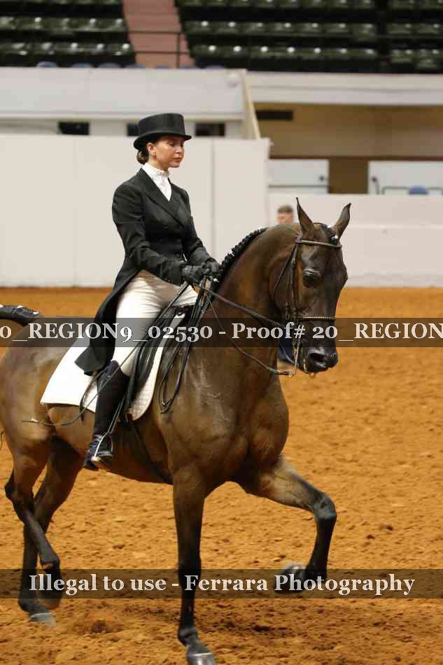 Proof 20_REGION9_02530
