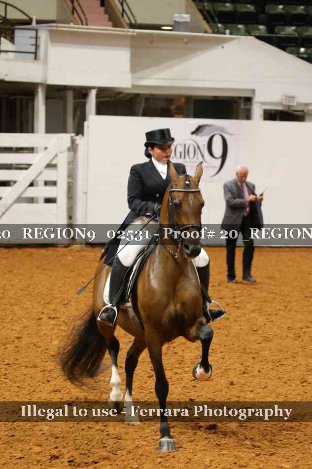 Proof 20_REGION9_02531