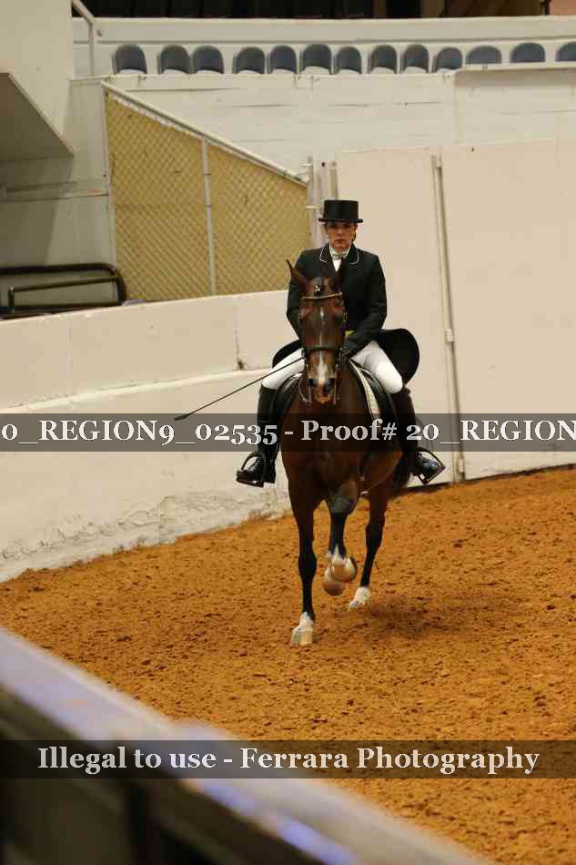 Proof 20_REGION9_02535