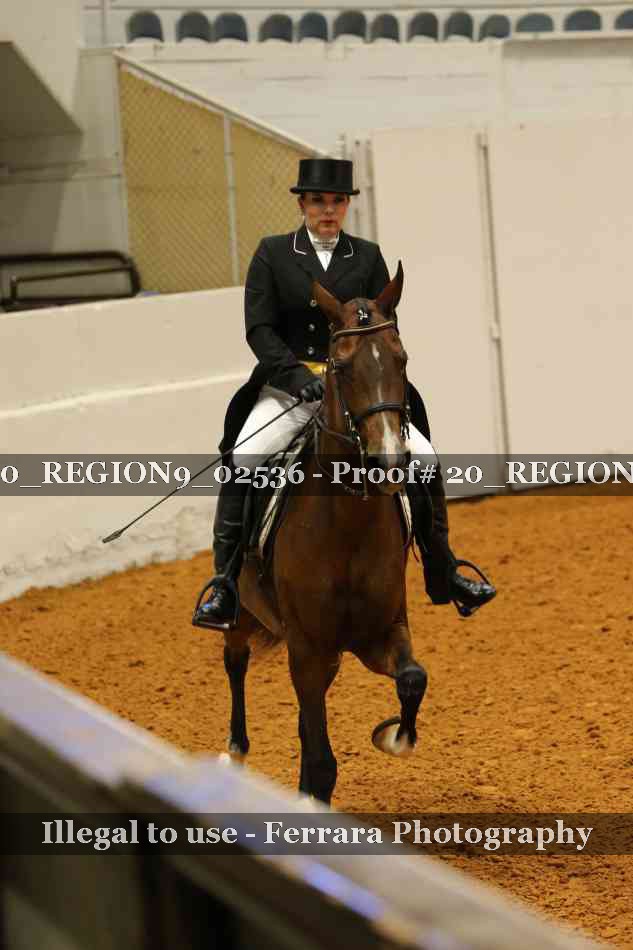 Proof 20_REGION9_02536