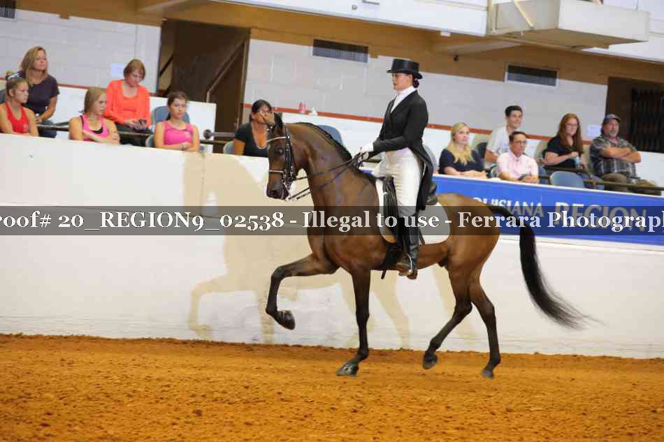 Proof 20_REGION9_02538