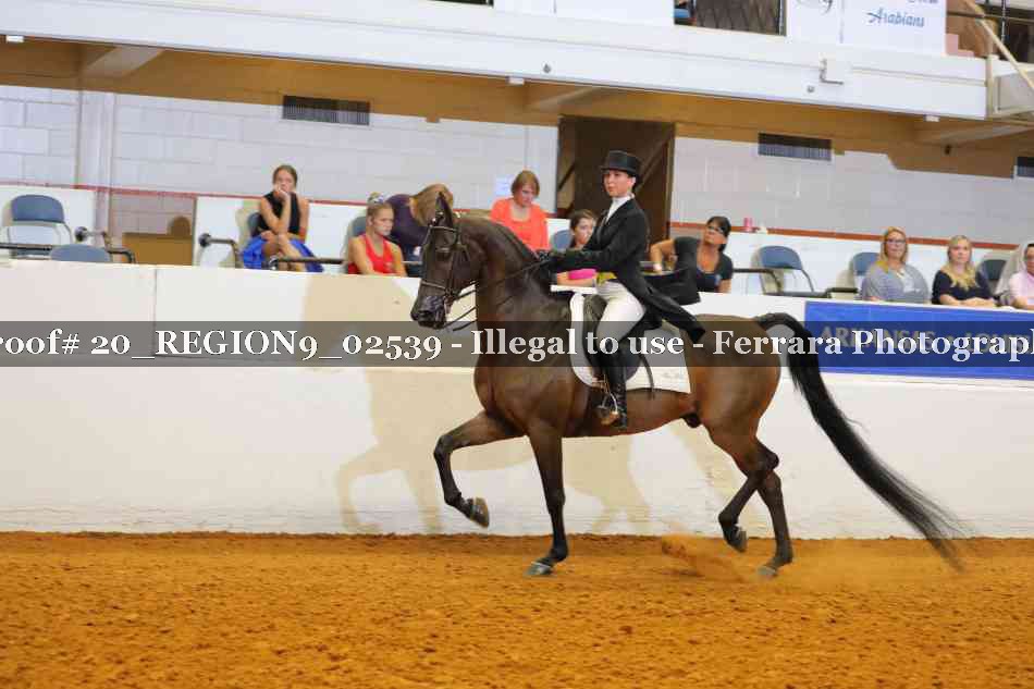 Proof 20_REGION9_02539