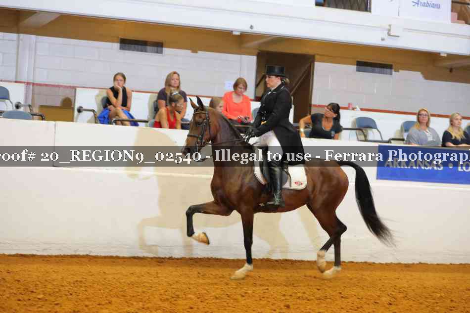 Proof 20_REGION9_02540
