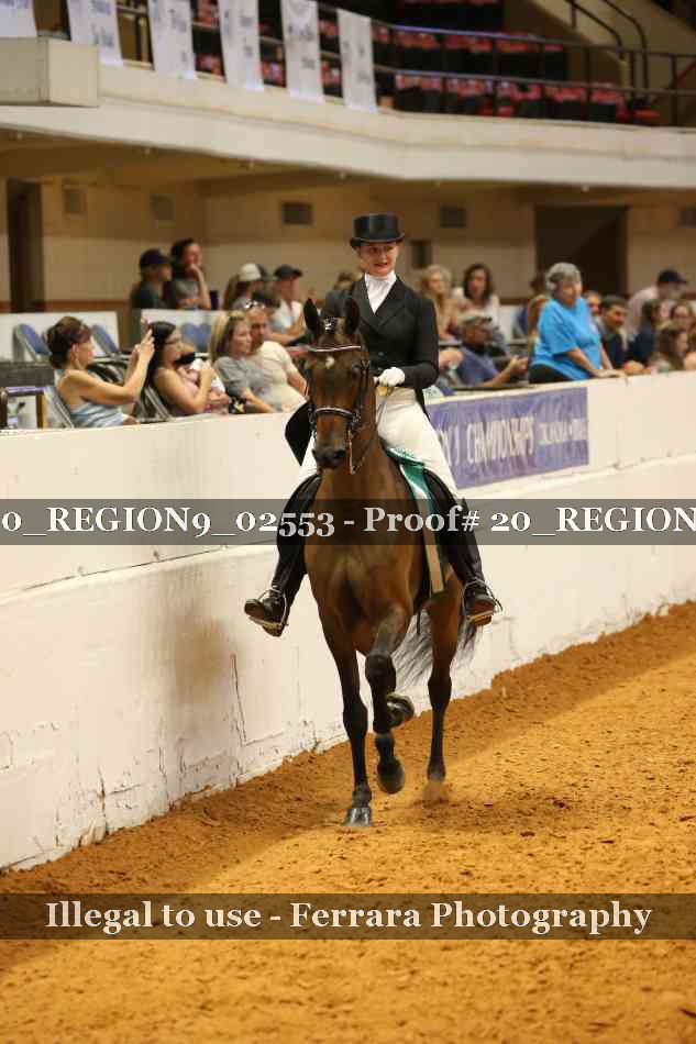 Proof 20_REGION9_02553