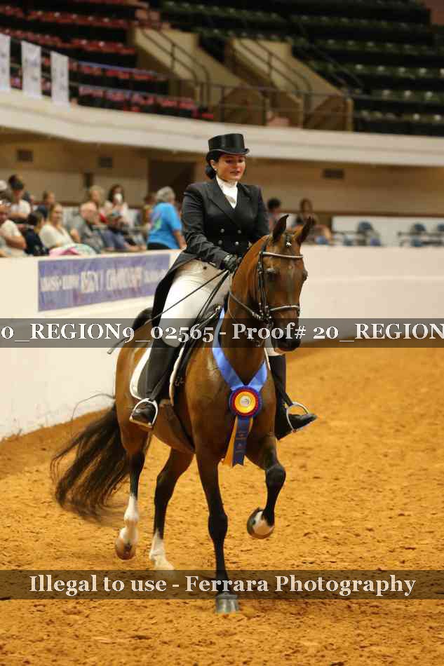 Proof 20_REGION9_02565