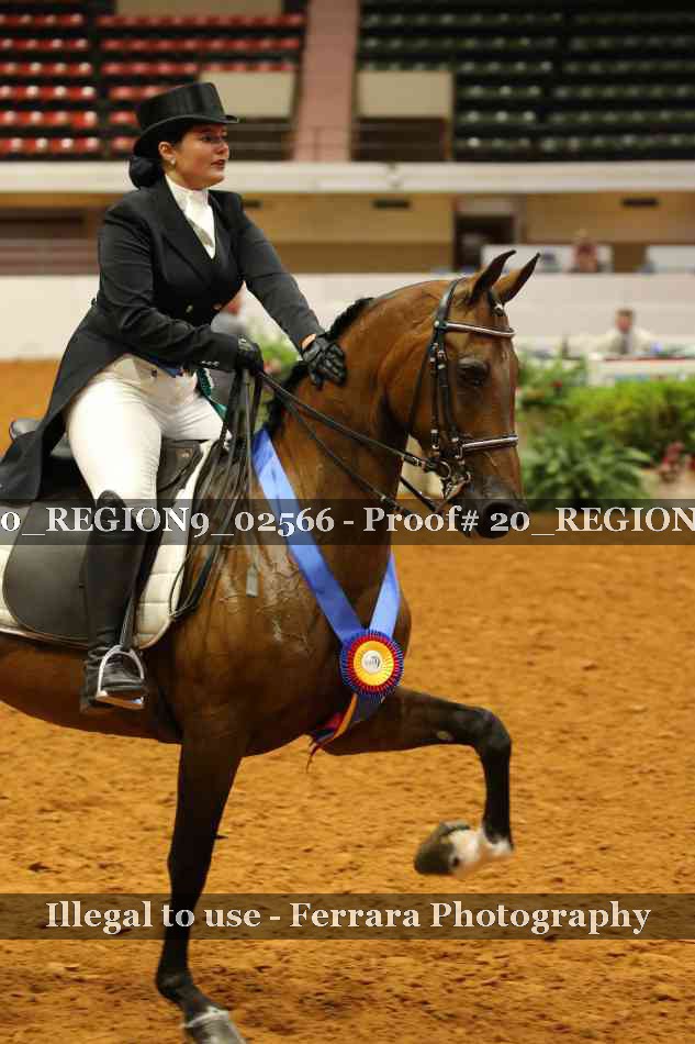 Proof 20_REGION9_02566