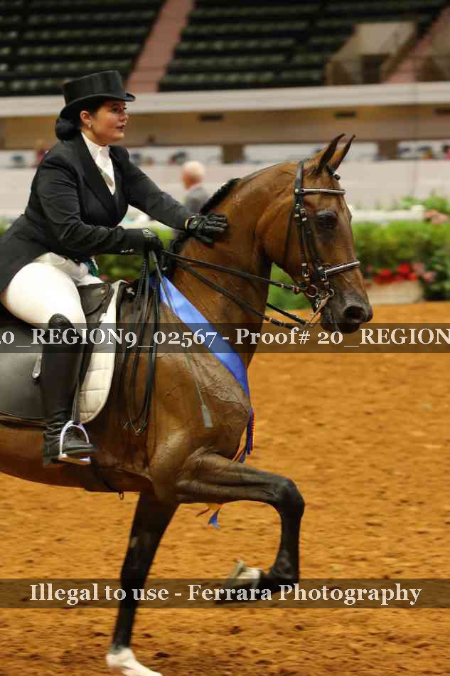 Proof 20_REGION9_02567