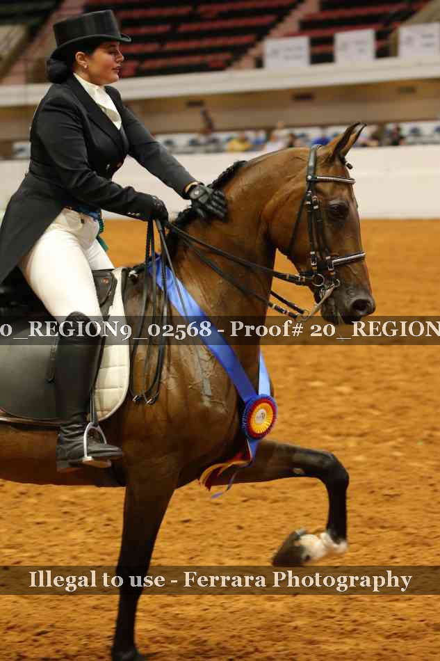 Proof 20_REGION9_02568