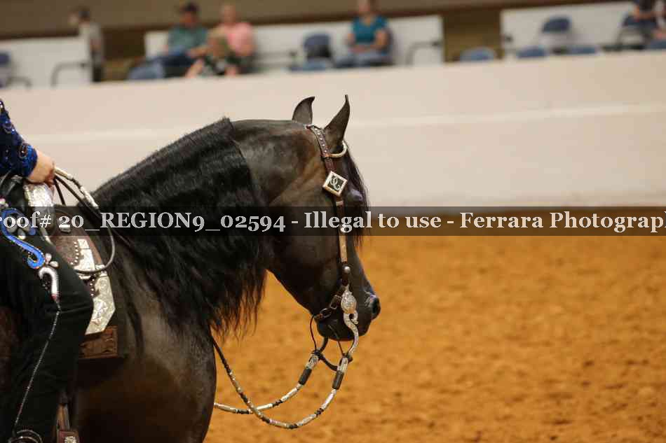 Proof 20_REGION9_02594
