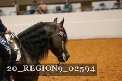 20_REGION9_02594 proof