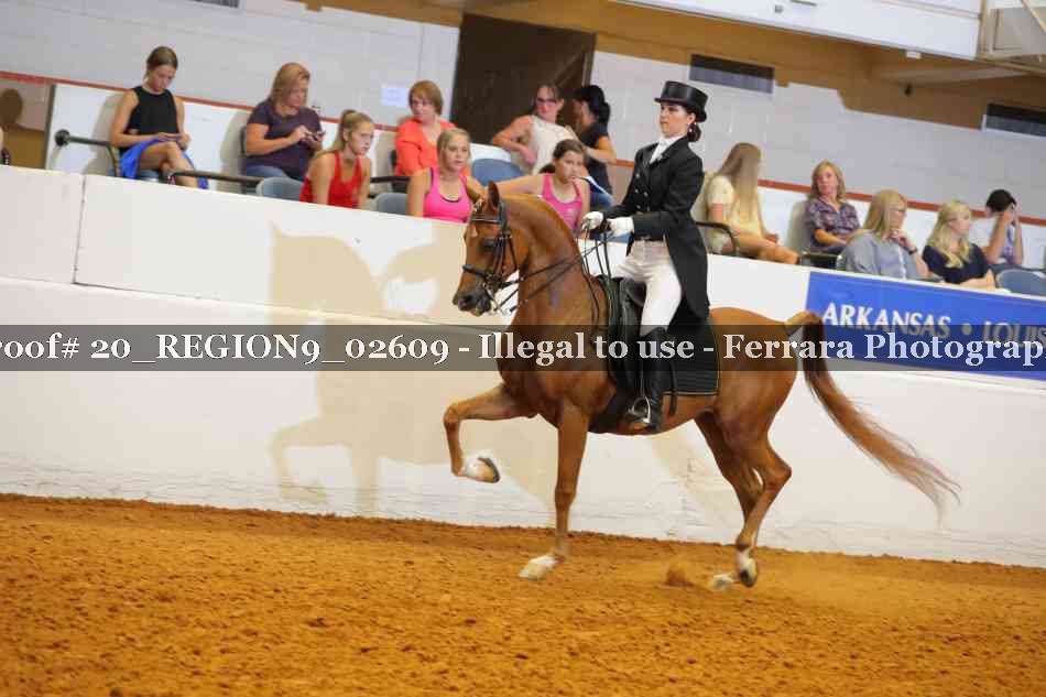 Proof 20_REGION9_02609