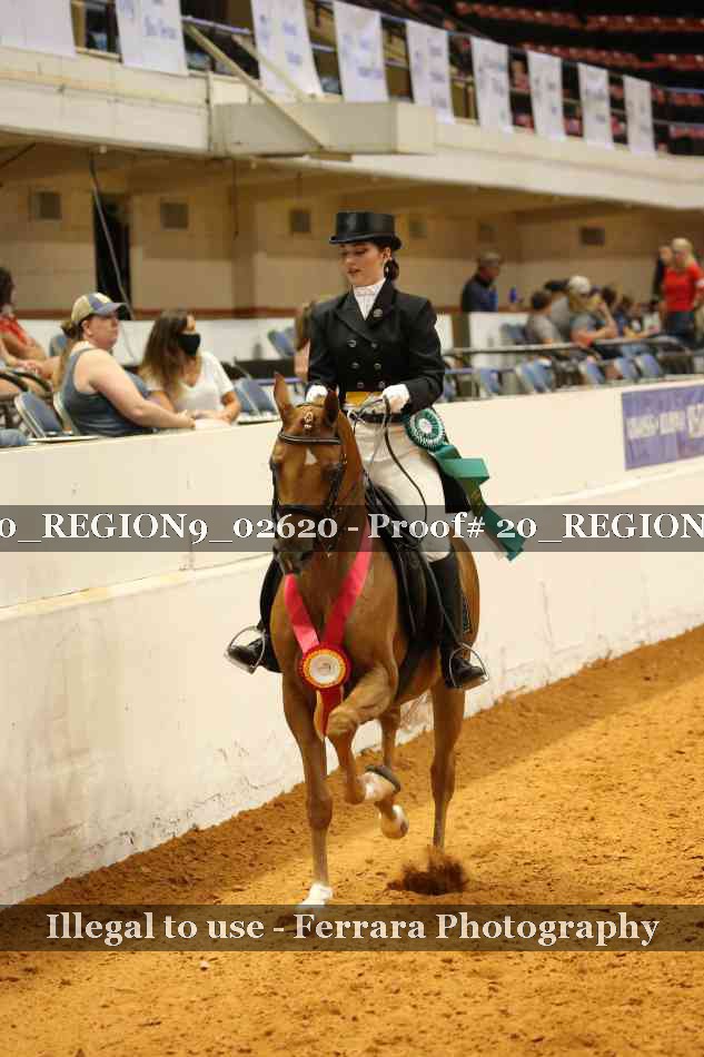 Proof 20_REGION9_02620