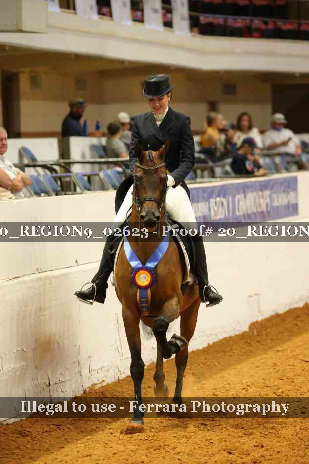 Proof 20_REGION9_02623