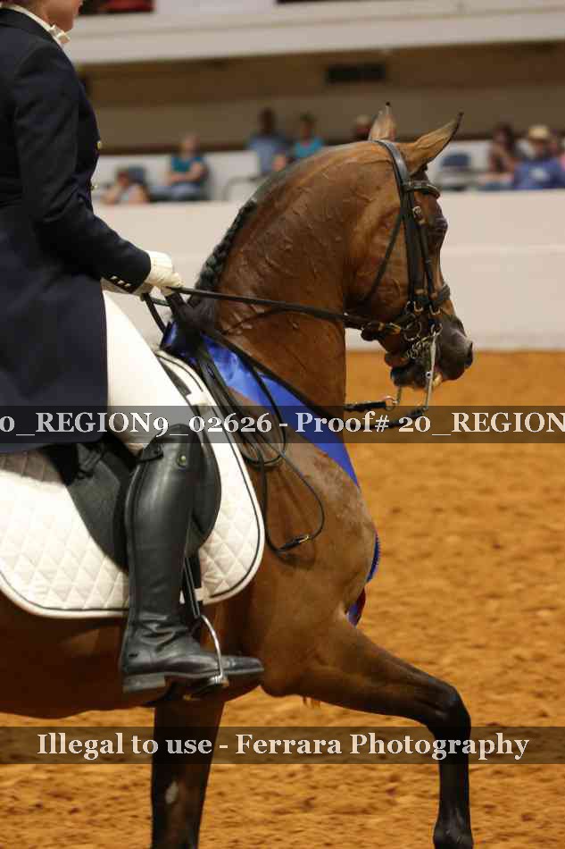 Proof 20_REGION9_02626