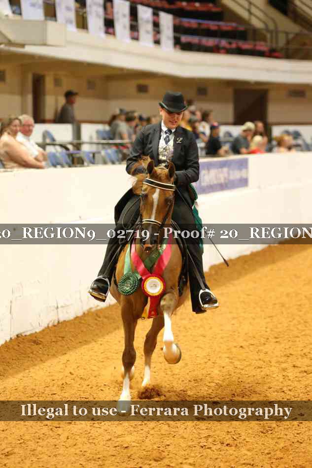 Proof 20_REGION9_02719