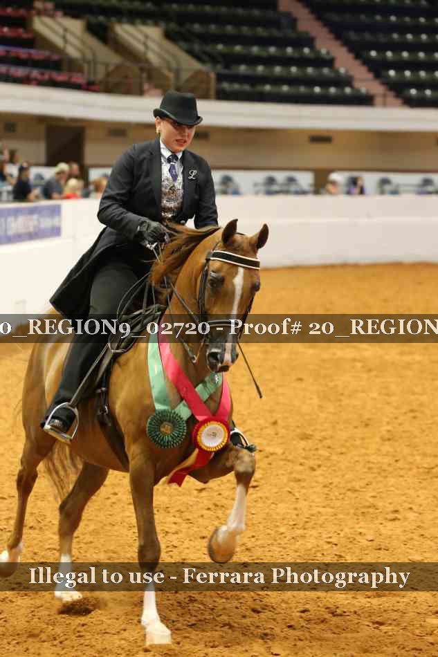 Proof 20_REGION9_02720