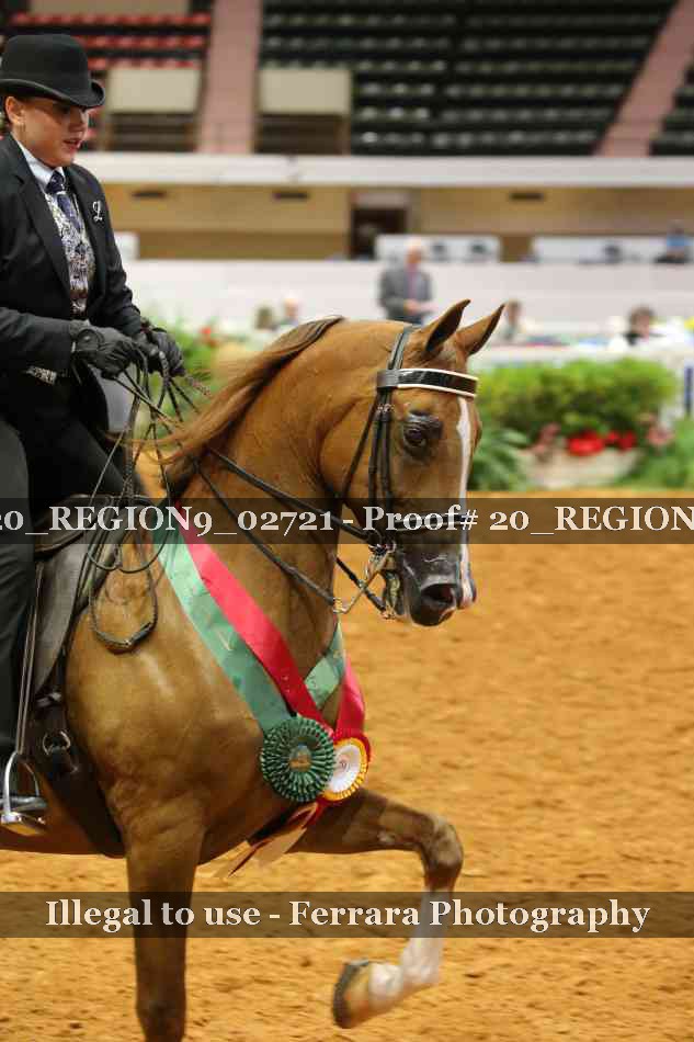 Proof 20_REGION9_02721