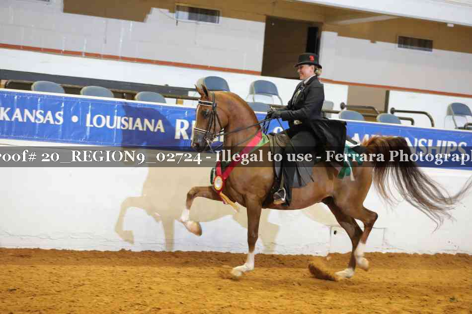 Proof 20_REGION9_02724