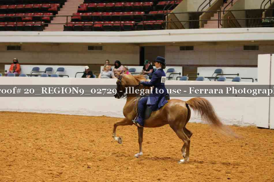 Proof 20_REGION9_02729