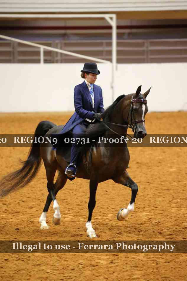 Proof 20_REGION9_02731