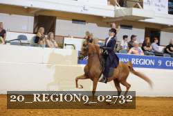 20_REGION9_02732 proof