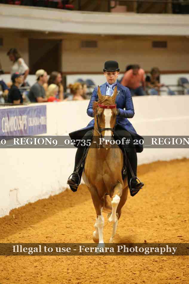 Proof 20_REGION9_02735