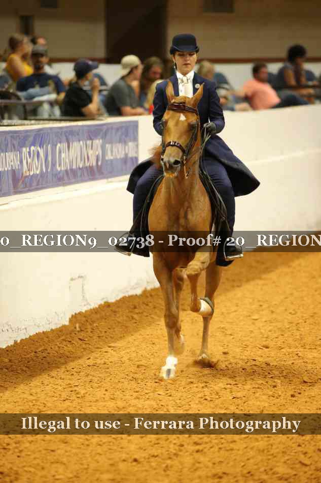 Proof 20_REGION9_02738