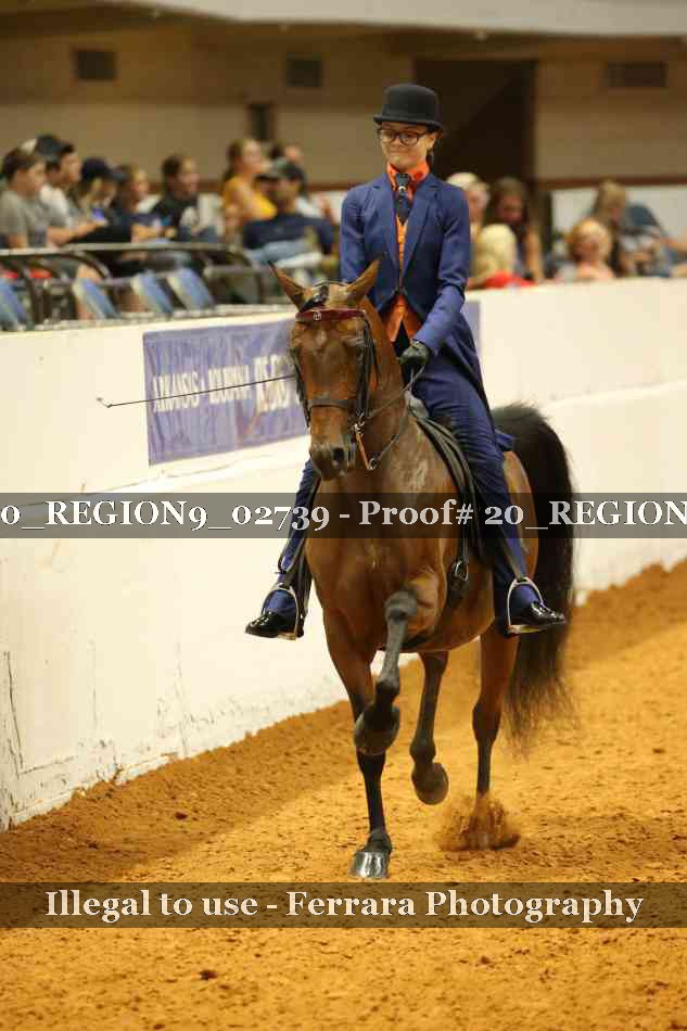 Proof 20_REGION9_02739