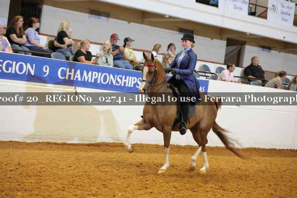 Proof 20_REGION9_02741
