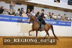 20_REGION9_02742 proof