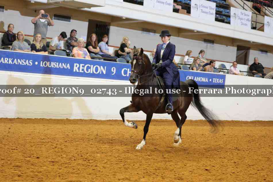 Proof 20_REGION9_02743