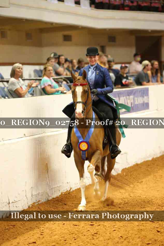 Proof 20_REGION9_02758