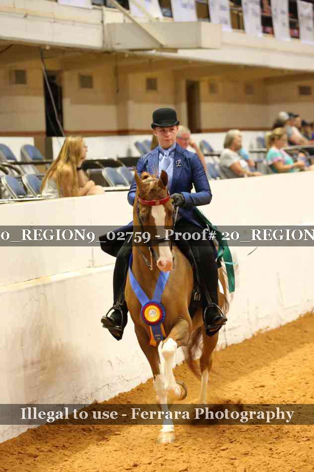 Proof 20_REGION9_02759