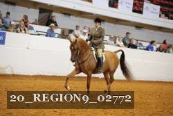 20_REGION9_02772 proof