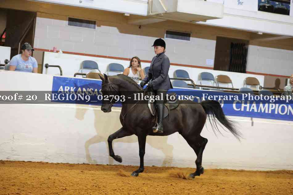 Proof 20_REGION9_02793
