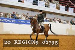 20_REGION9_02795 proof