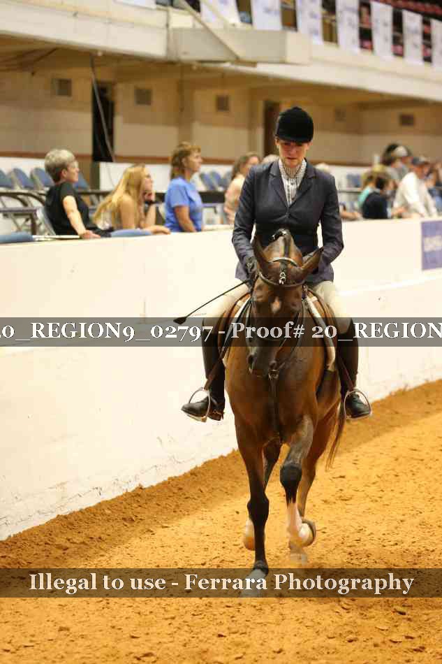 Proof 20_REGION9_02797