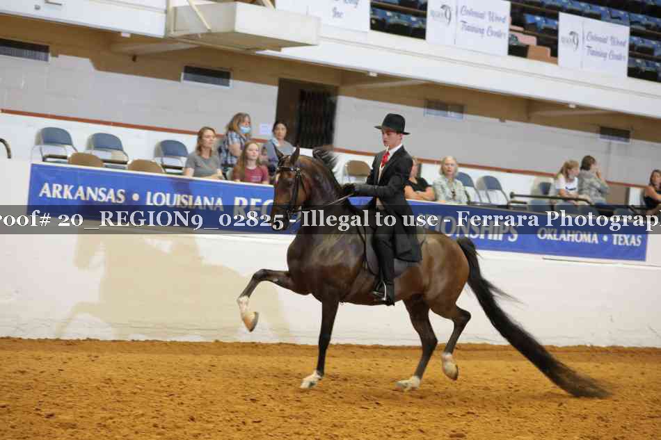 Proof 20_REGION9_02825